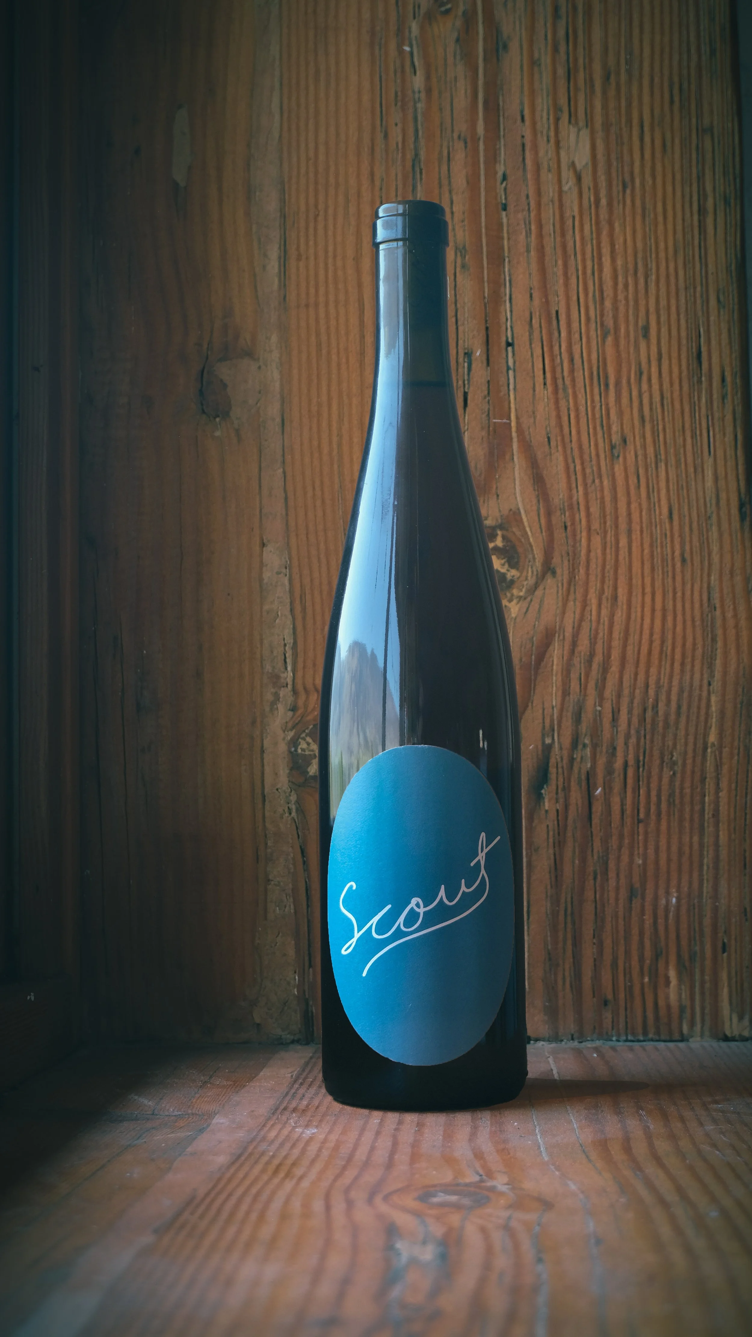 2025 Skin Contact Riesling.jpg