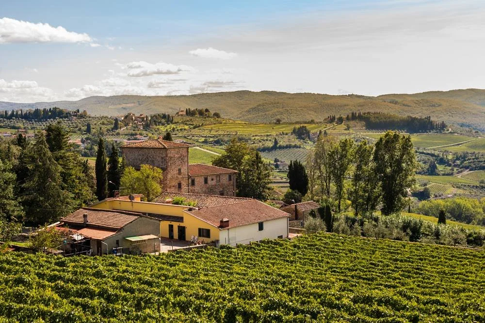 Vineyard-in-the-Chianti-region-Tuscany-Italy-_794694967.jpg