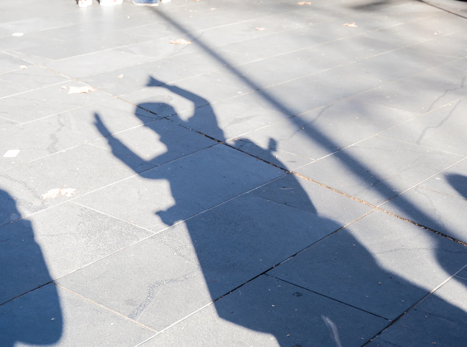 Shadows