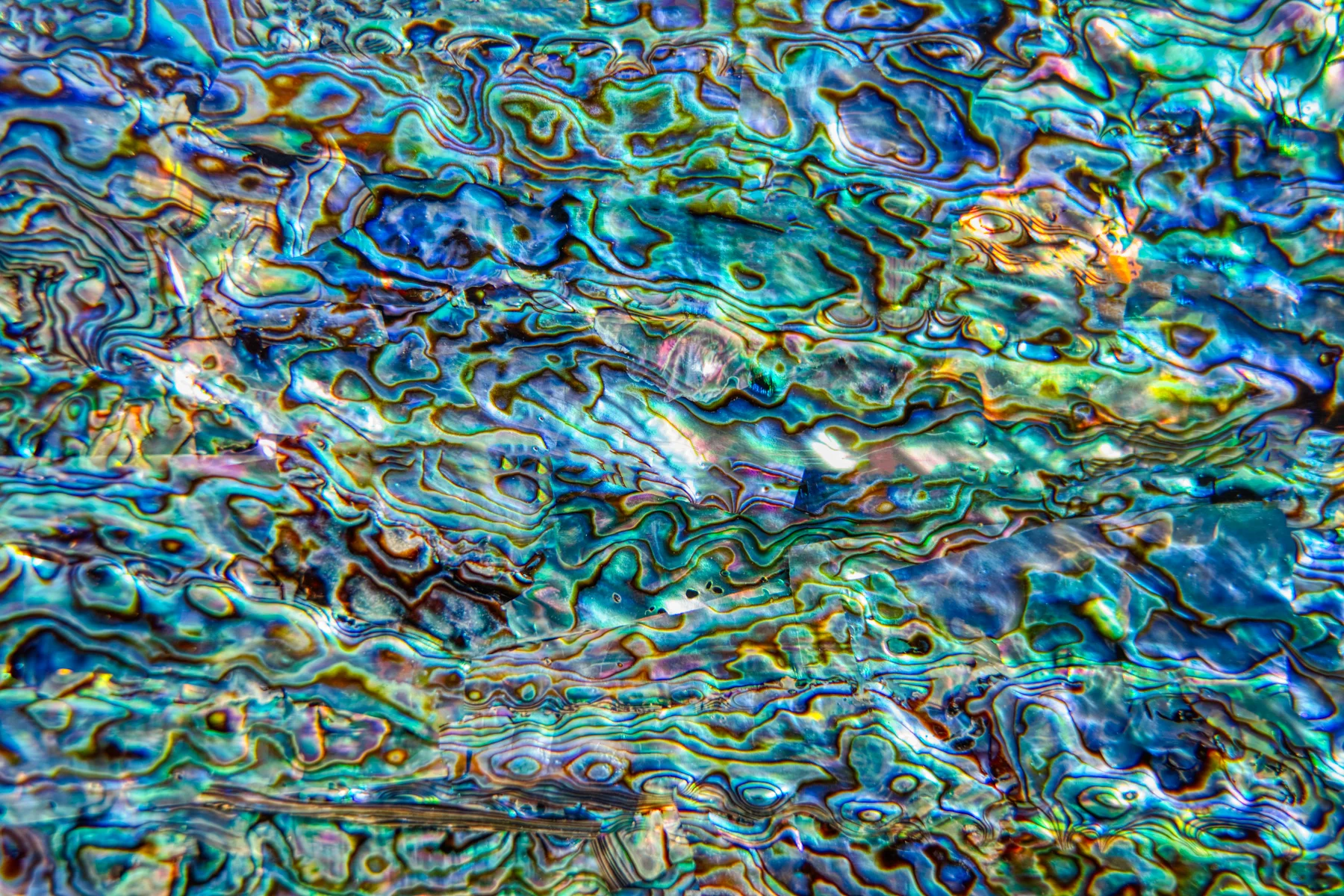 Shimmer & Shine