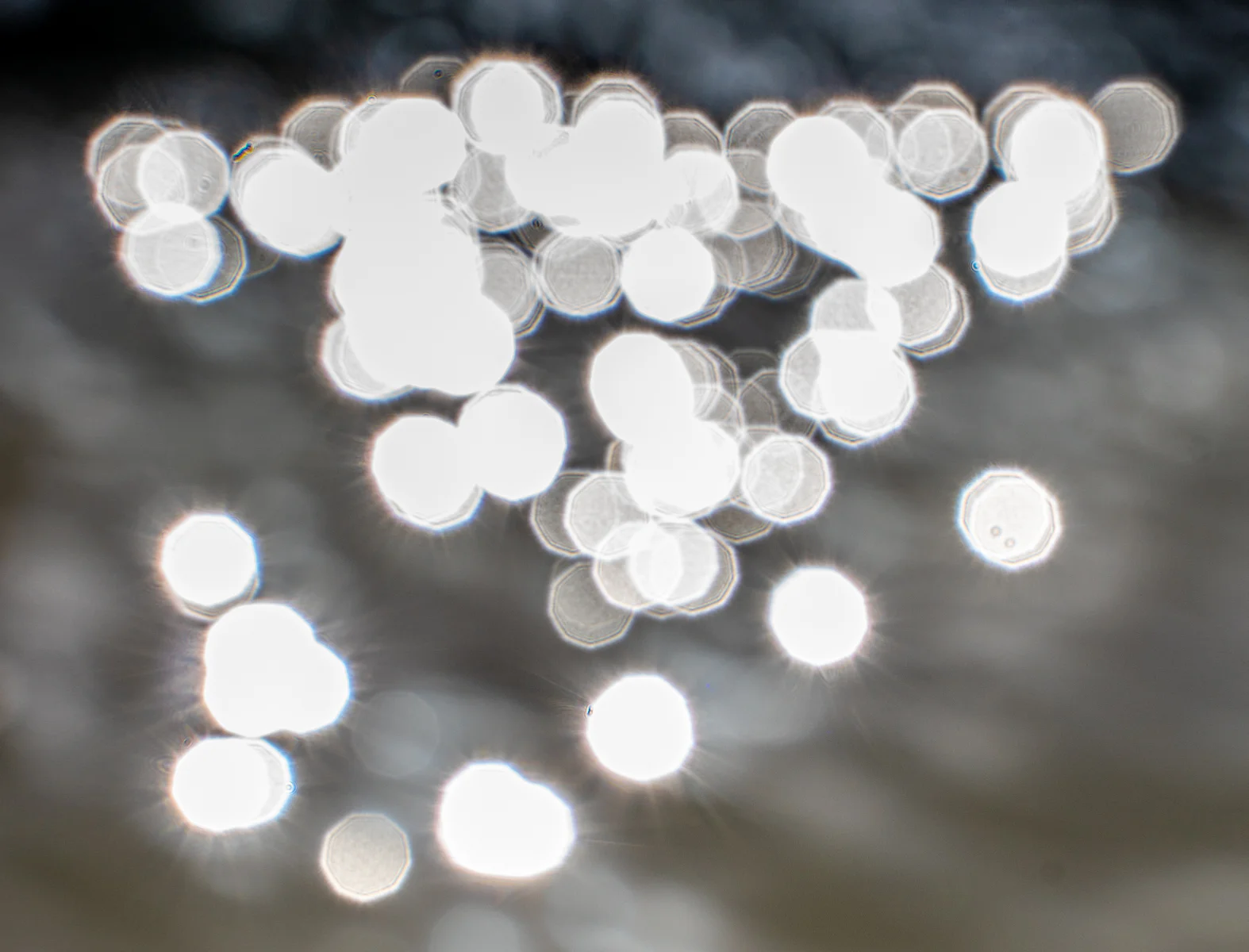 Shimmer & Shine