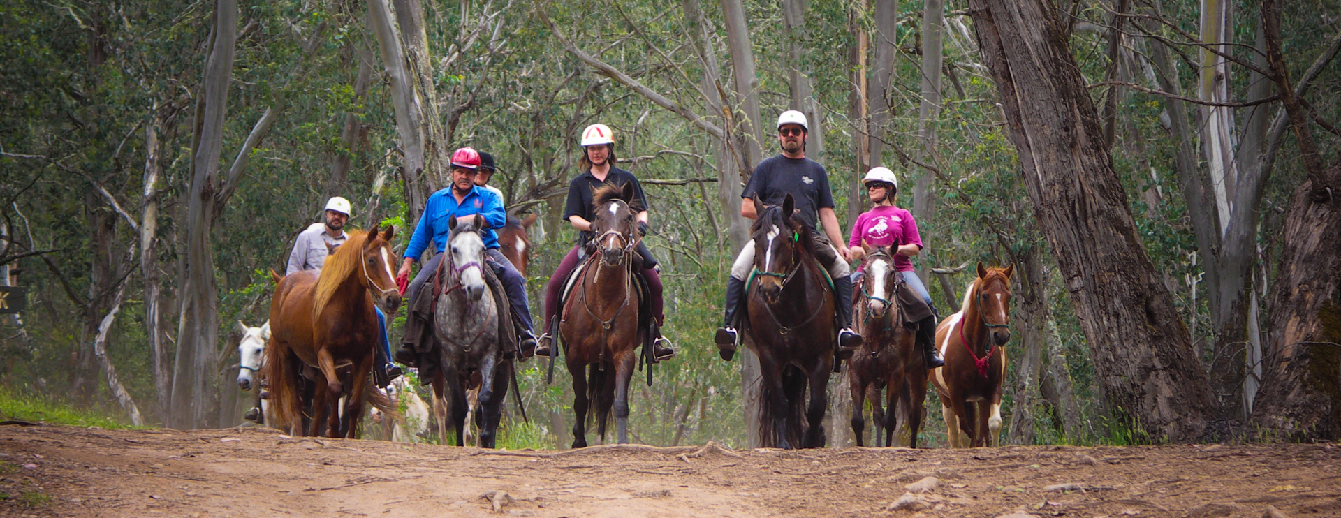 Sharon Weymouth: High Country Trail Rides