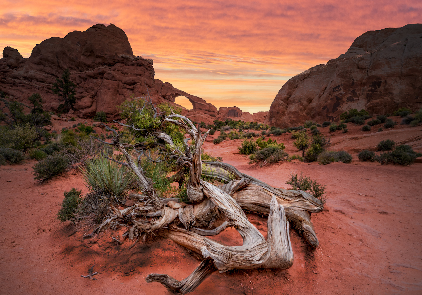 Top Landscape Print of the Year Trophy (Shaw Tan Trophy)