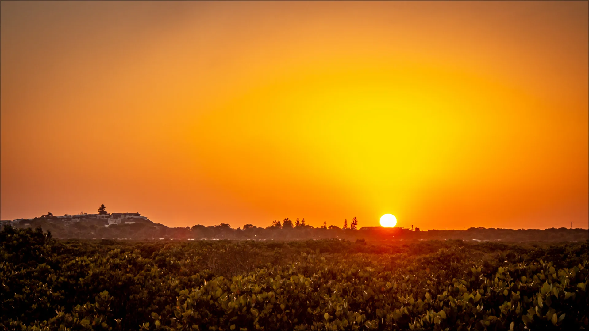 Solar Glow.jpg