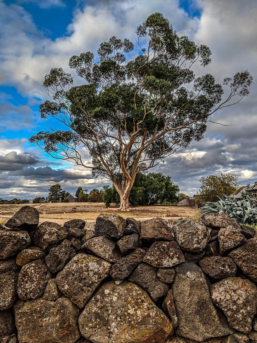 6  Open Subject EDPI_Dakin_Anne_At Westgarthtown.jpg