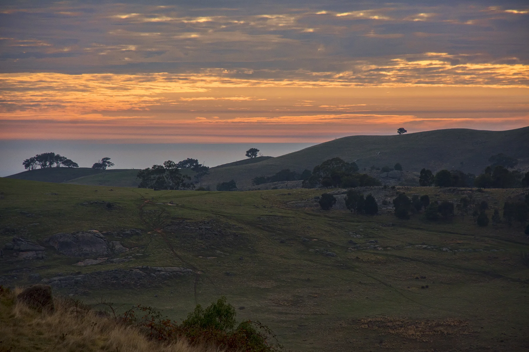 6  Open Subject EDPI_Sebastian_Nellina_At Dawn.jpg