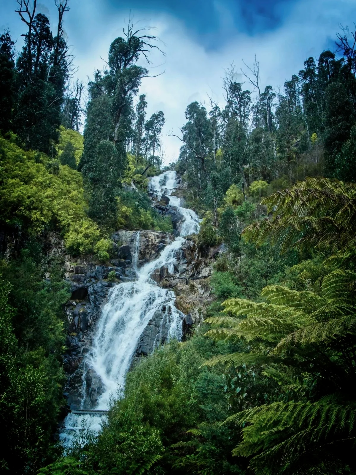 6  Open Subject EDPI_Slattery_Owen_Stevensons Falls.jpg