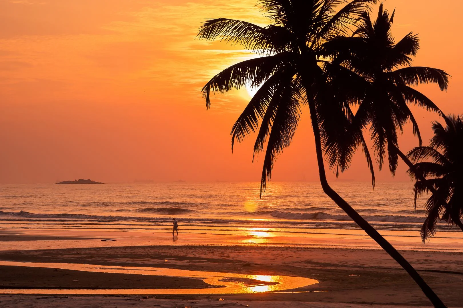 Tropical Sunset. Open. Shaw Tan