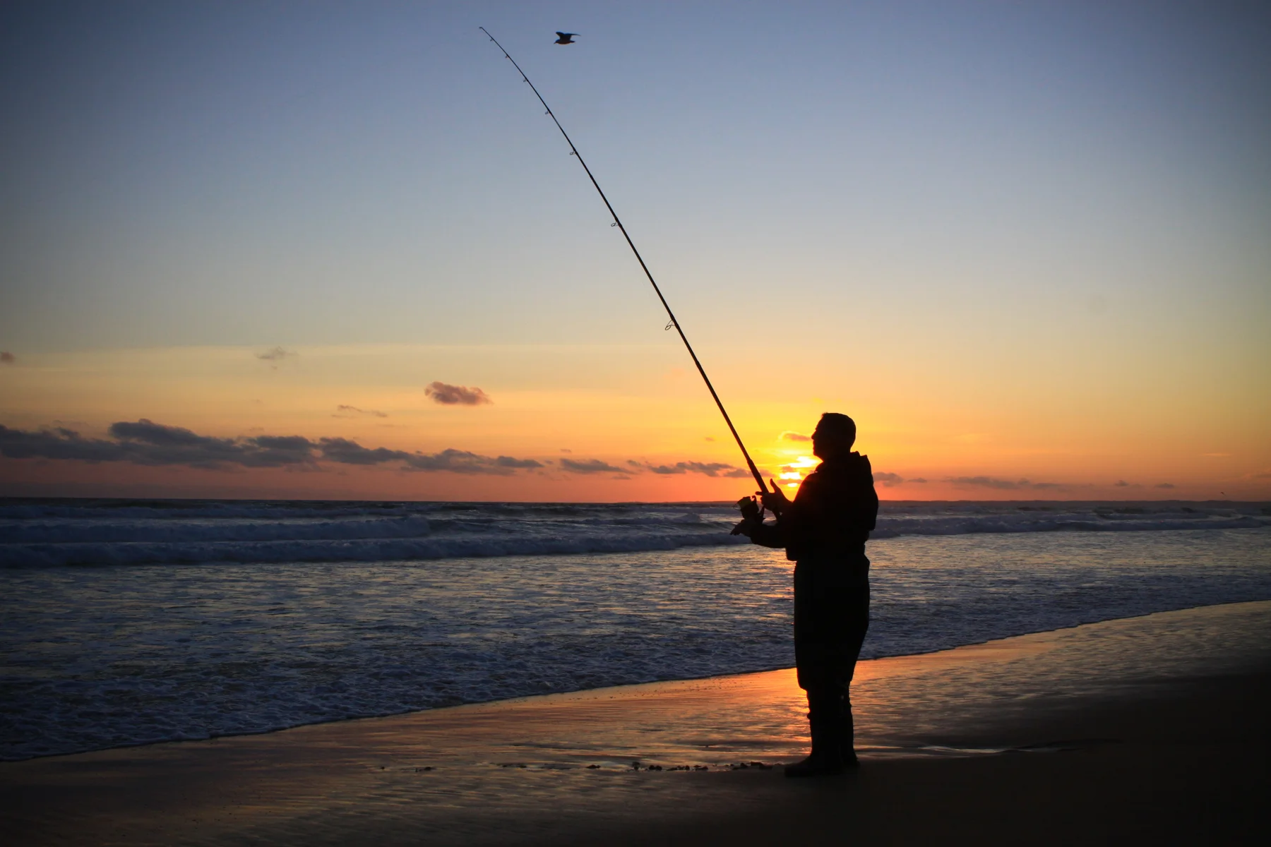 Sunset Fishing. Open. Sharon Weymouth