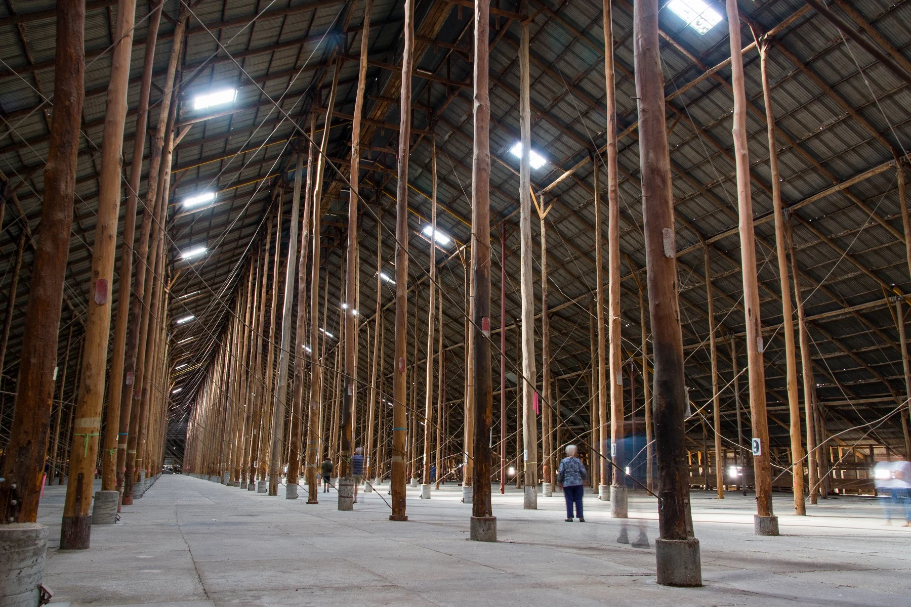 Murtoa Stick Shed Interior. Open. Anne Dakin