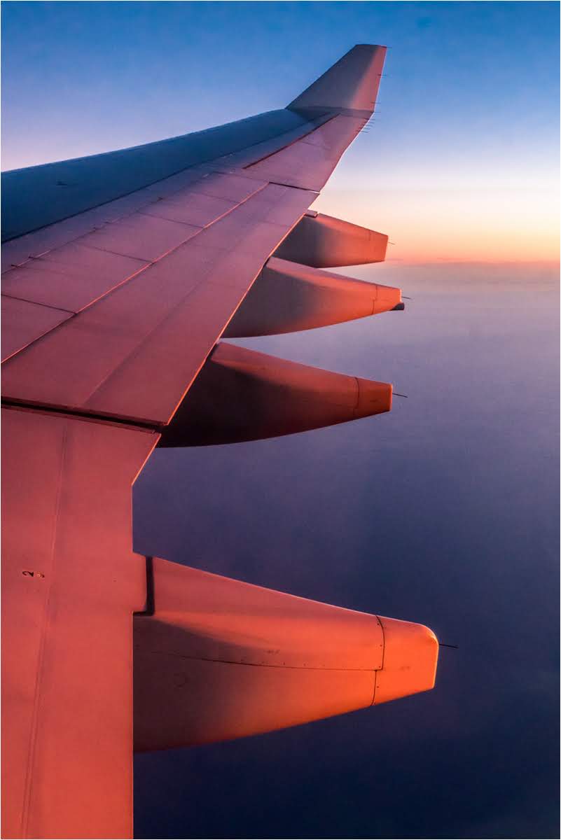 Sunset Flight