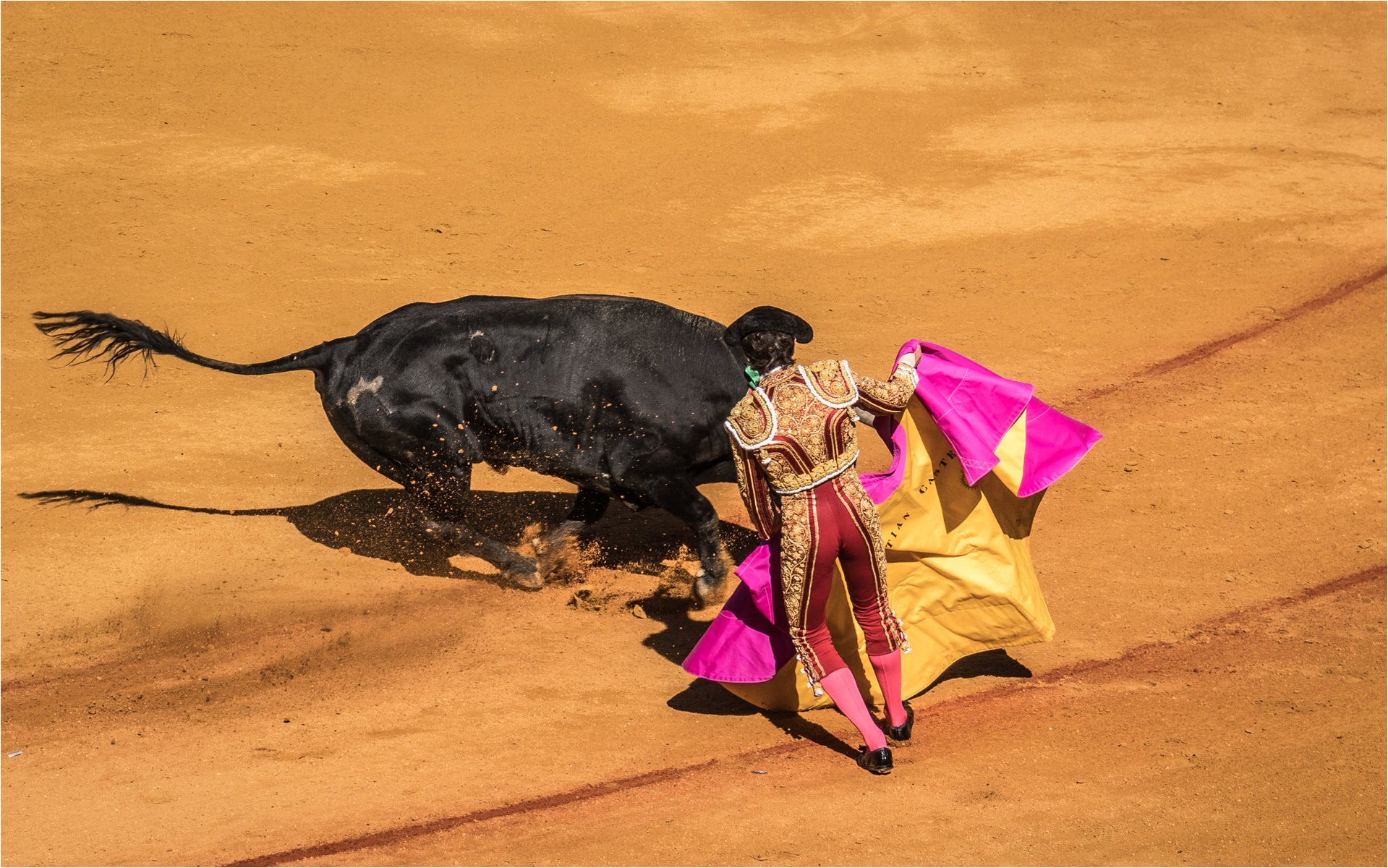Bull Fight, Seville, Spain