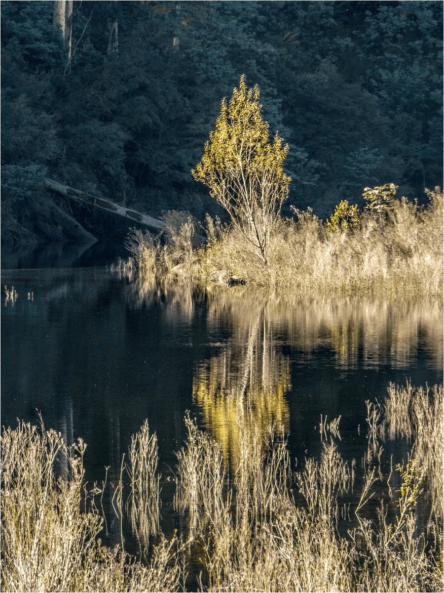 Lake Guy, Bogong Village