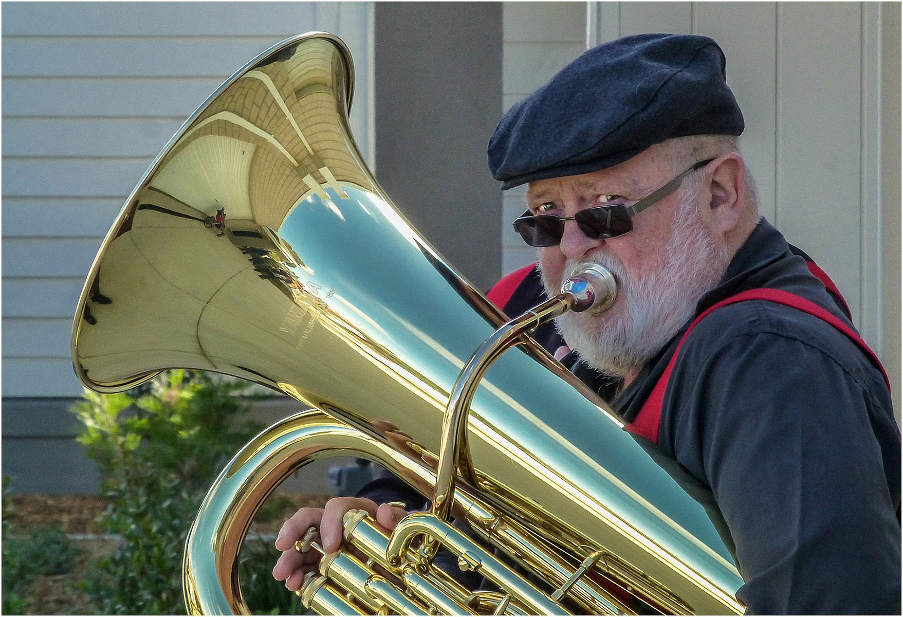 The Tuba Player
