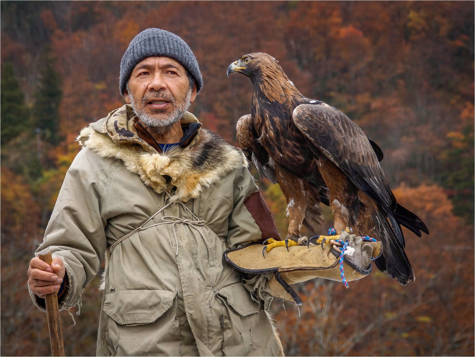 The Last Falconer in Japan
