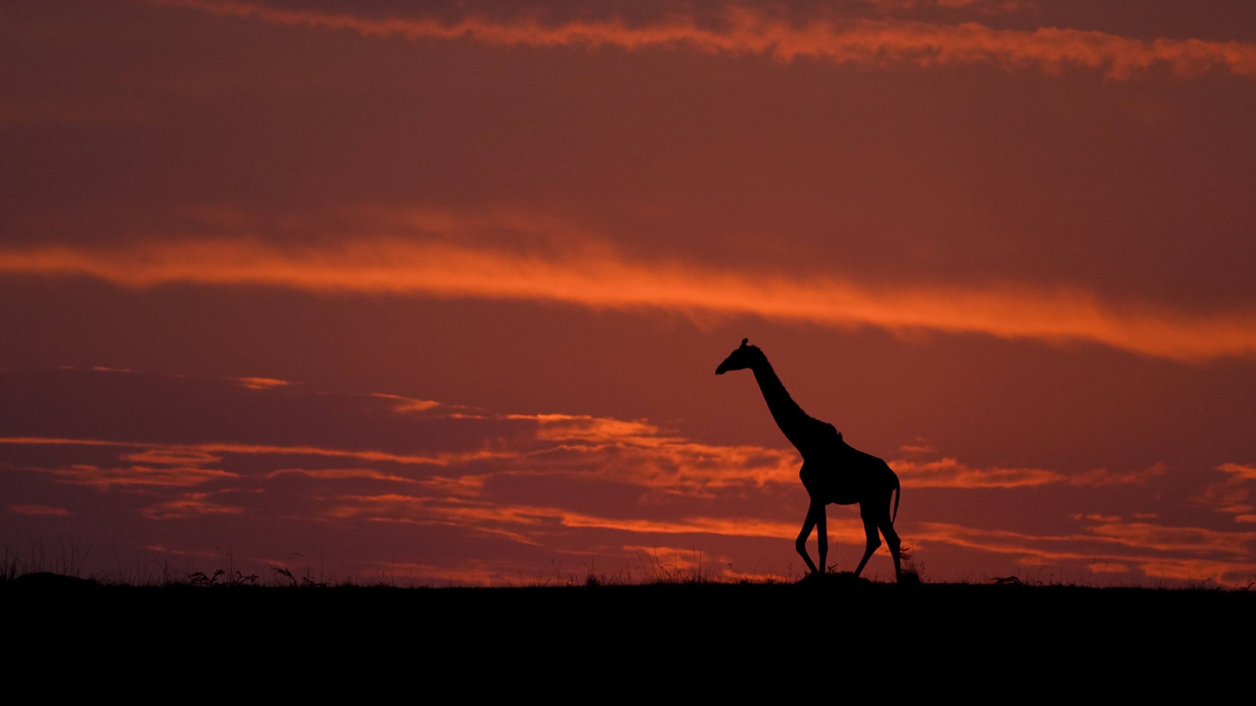 2025 Minimalism Image.jpg