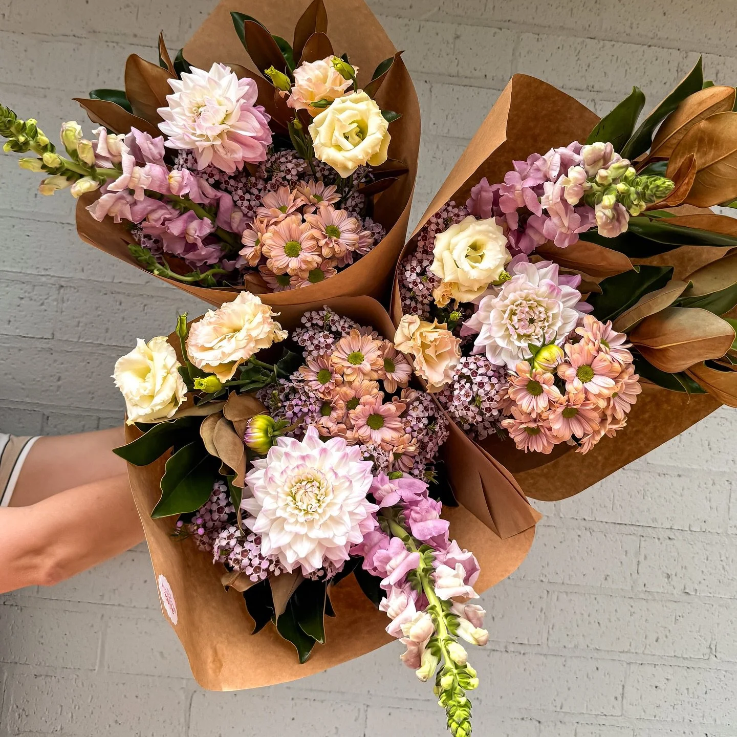 M O N D A Y 

M O N D A Y 💐

Starting the week off soft &mdash; and we mean soft in the best possible way. Think buttery pastels, velvety petals, and all the calm Monday energy you didn&rsquo;t know you needed. ☁️✨

She&rsquo;s serving up:
🌸 Dahlia