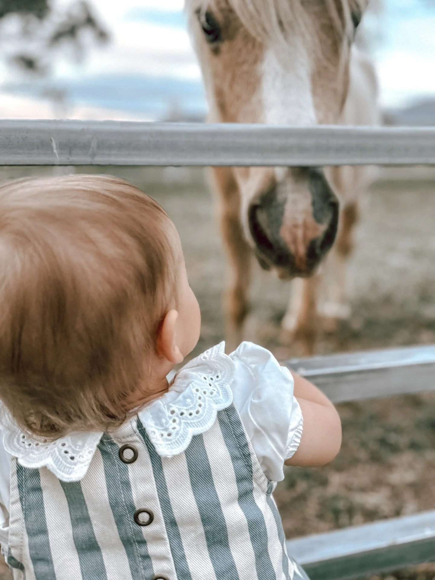 P R E T T Y.  G I R L. 
P R E T T Y .  P O N Y. 
A just-because picture.
A pause between the floral chaos. 
It was snapped in a moment that felt busy and blurred for me… but perfectly still for her. She saw what I didn’t have time to &