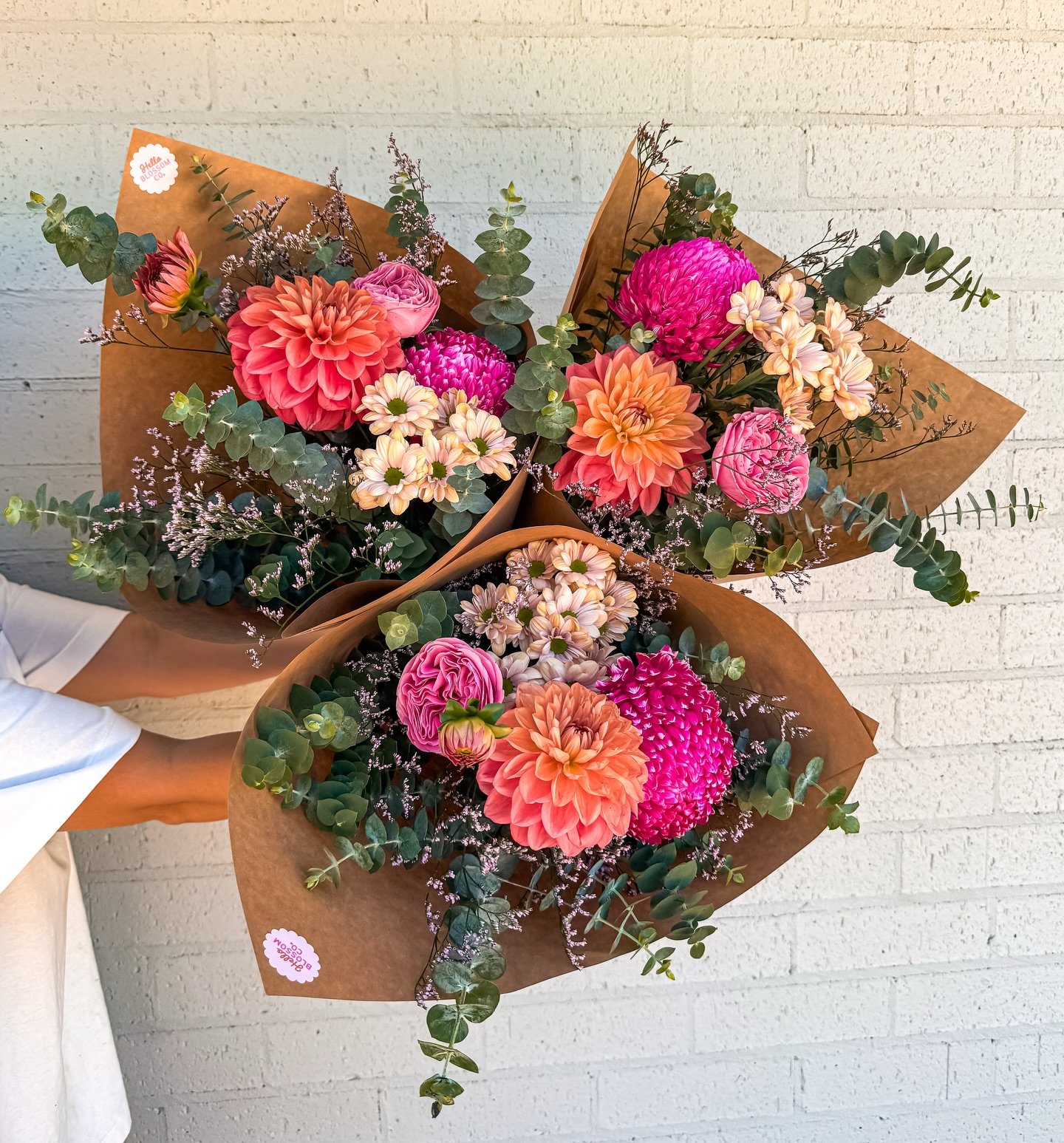 W E D N E S D A Y

Today&rsquo;s bunch is bringing warm sunset tones, fluffy textures and a whole lot of feel-good colour 🌿✨

She&rsquo;s serving up:
🌸 Dahlias (big peachy showstoppers)
🌺 big mum chrys (those punchy hot pink pom poms)
🌼 Daisy chr