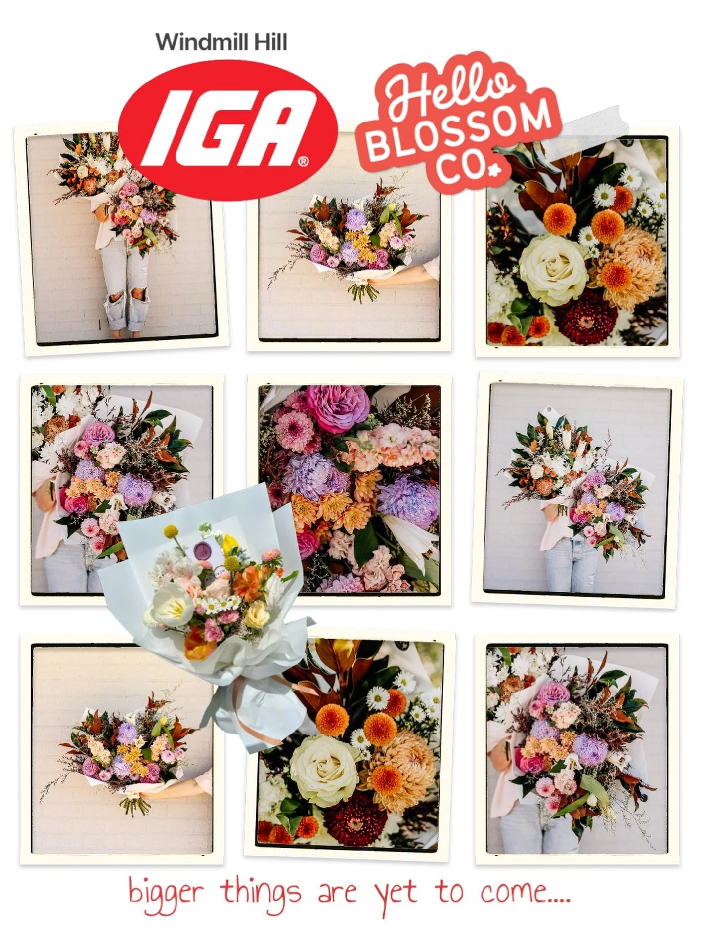 B I G.  N E W S. 

We&rsquo;re honestly so proud to officially be partnering with IGA Windmill Hill as their flower provider 🌸

We started this journey as two busy mums with a love for beautiful blooms and easy gifting&hellip; and it&rsquo;s grown i