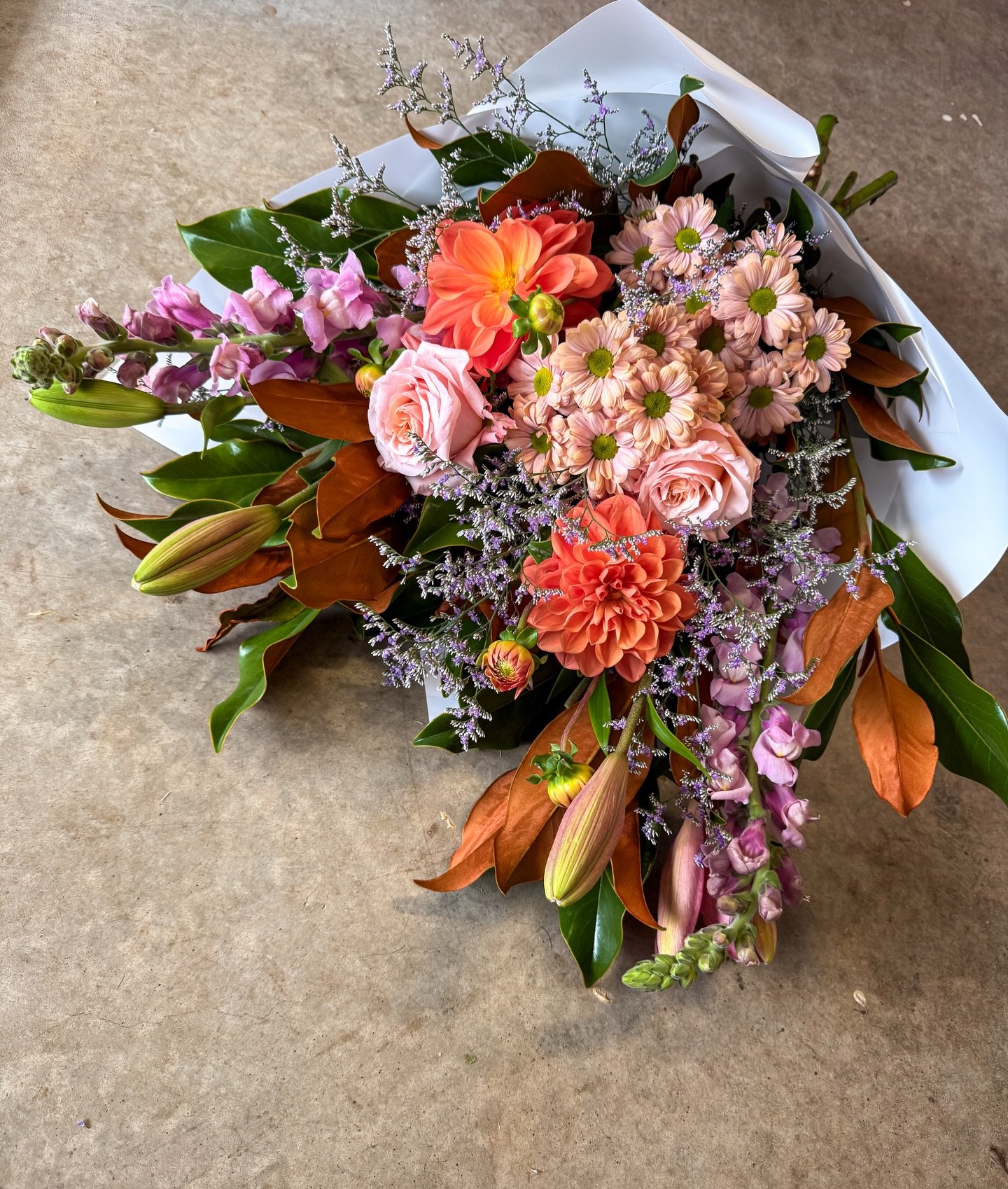 T U E S D A Y 

Not to be dramatic&hellip; but she&rsquo;s soft, spicy and a little bit fancy 😮&zwj;🔥

Today&rsquo;s bunch is bringing all the peachy-coral goodness with soft blush tones and rich earthy textures 🌿✨

She&rsquo;s serving up:
🌸 Dahl