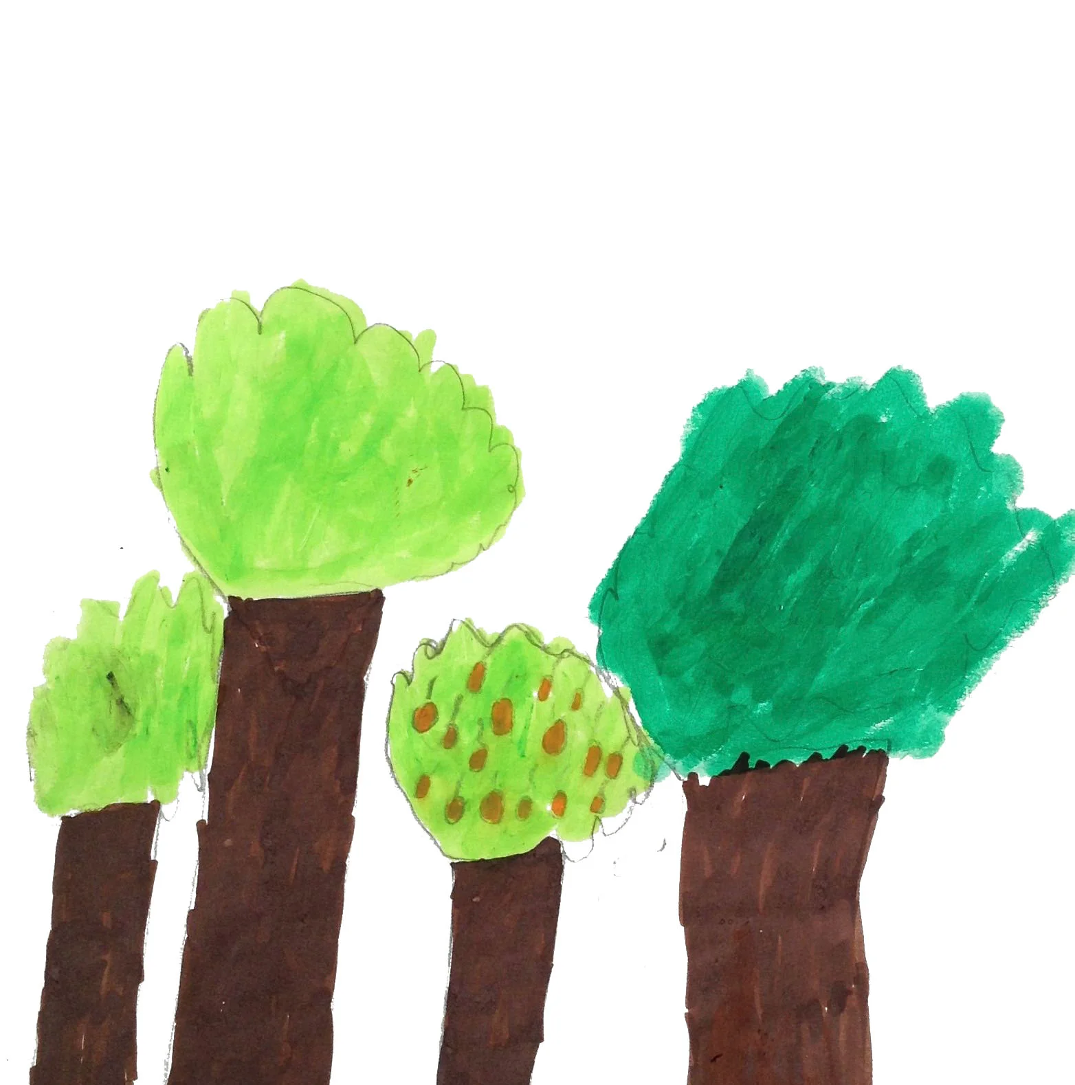 trees.jpg