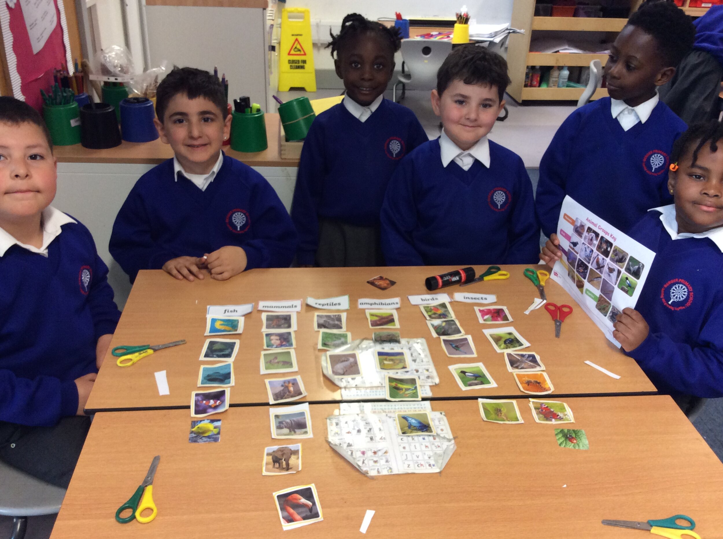 Identifying And Grouping Animals