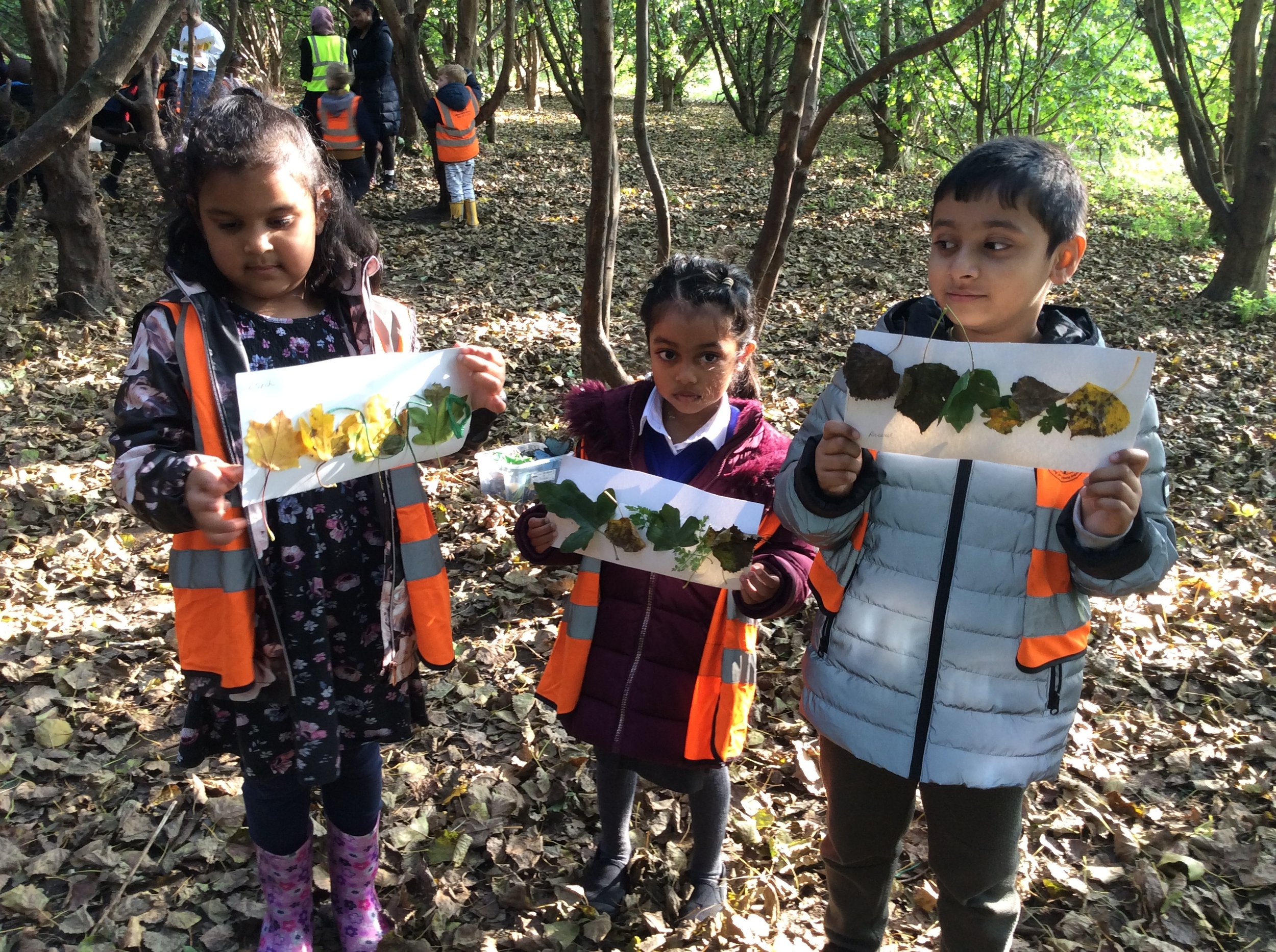 Forest School Linked To Science Seasons