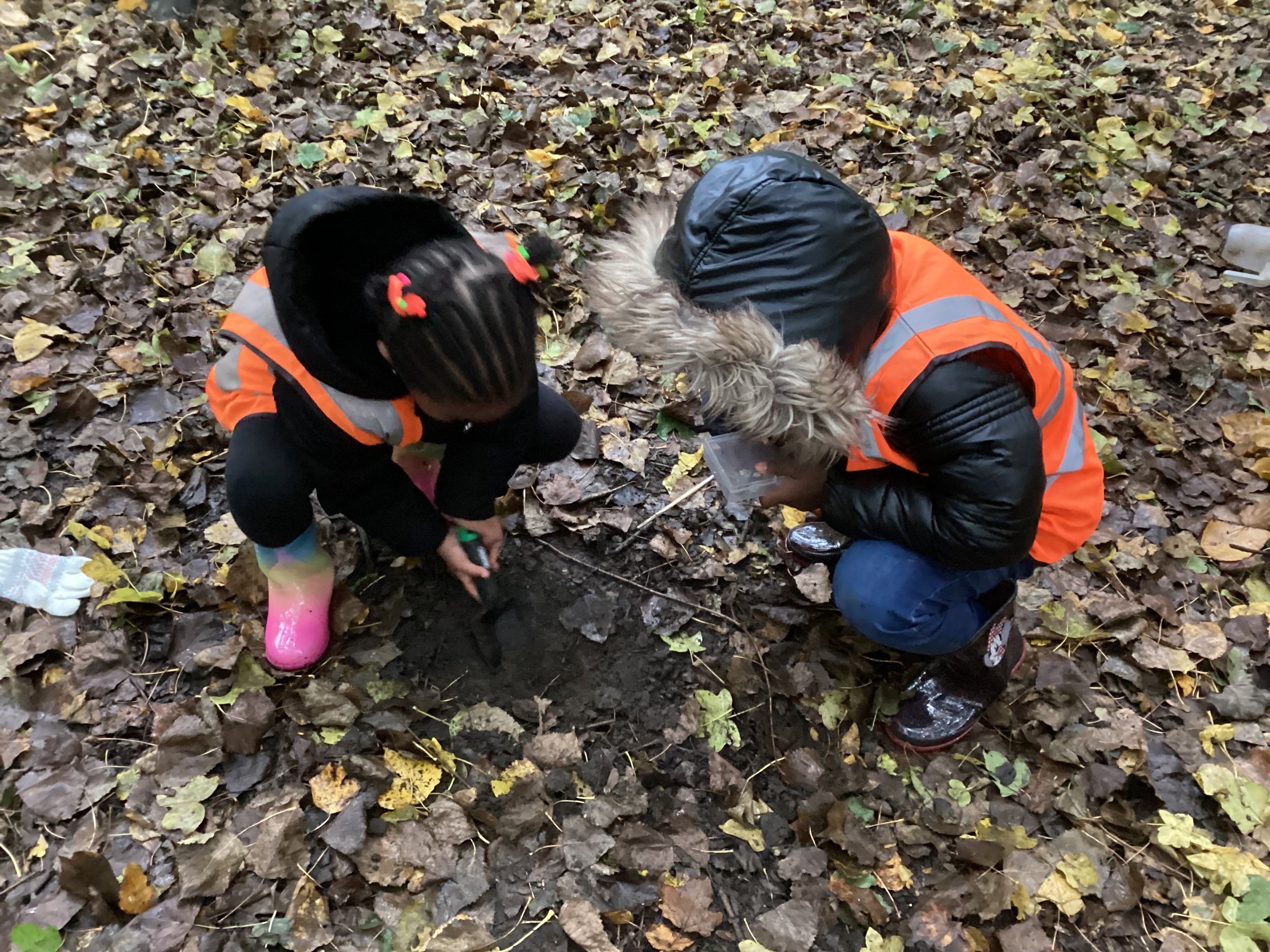 Forest School.