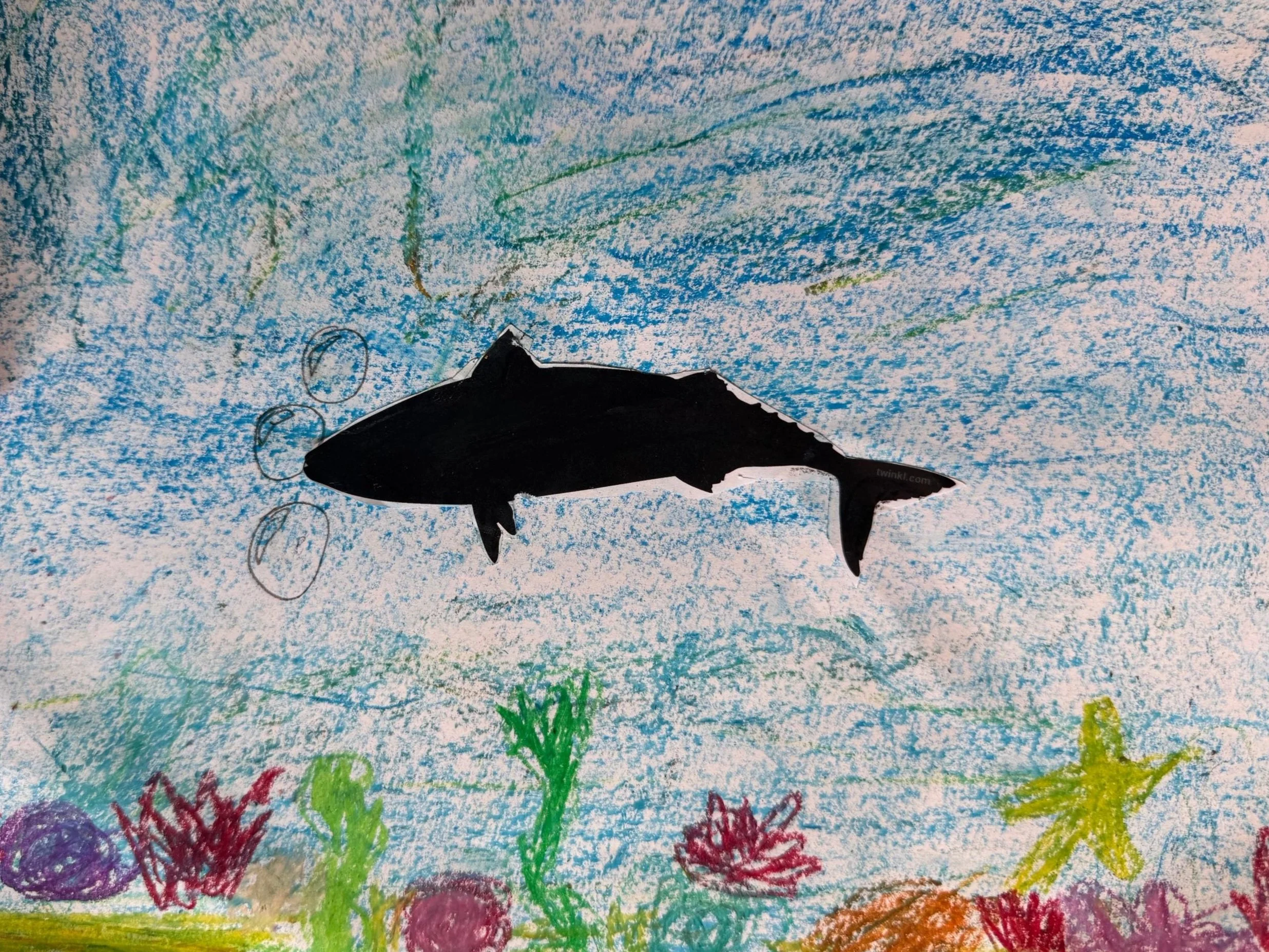 Sea Creatures And Silhouettes!