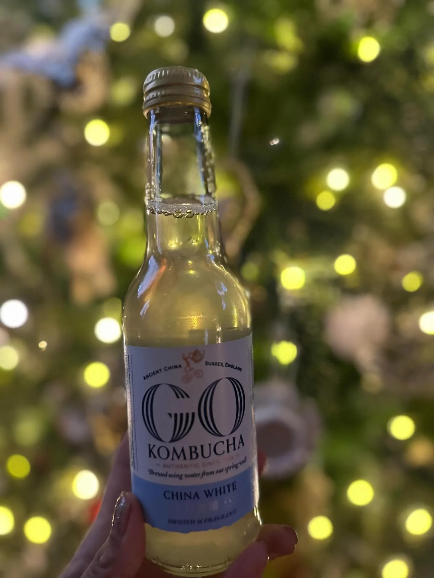 Merry Christmas &amp; All Best Wishes for 2026 from all al GO Kombucha 🥂⛄️🎄🎉🎈

&bull; Thanks to Vinita @cravingsandcauliflowers