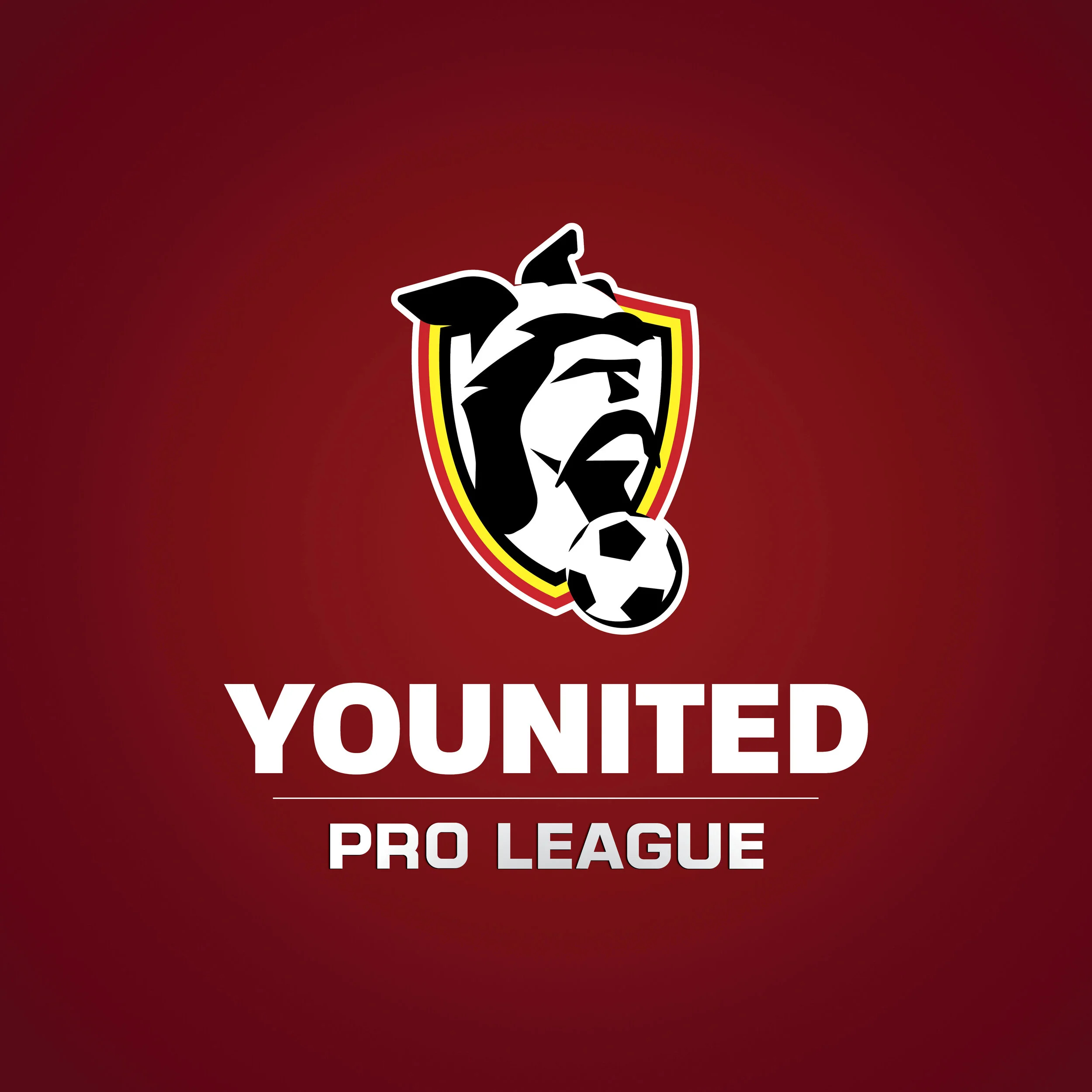 YOUNITED BELGIUM NEEMT PROFVOETBAL OVER