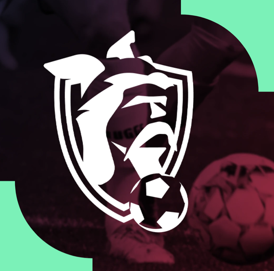 Record pour l’action de Noël de la Pro League