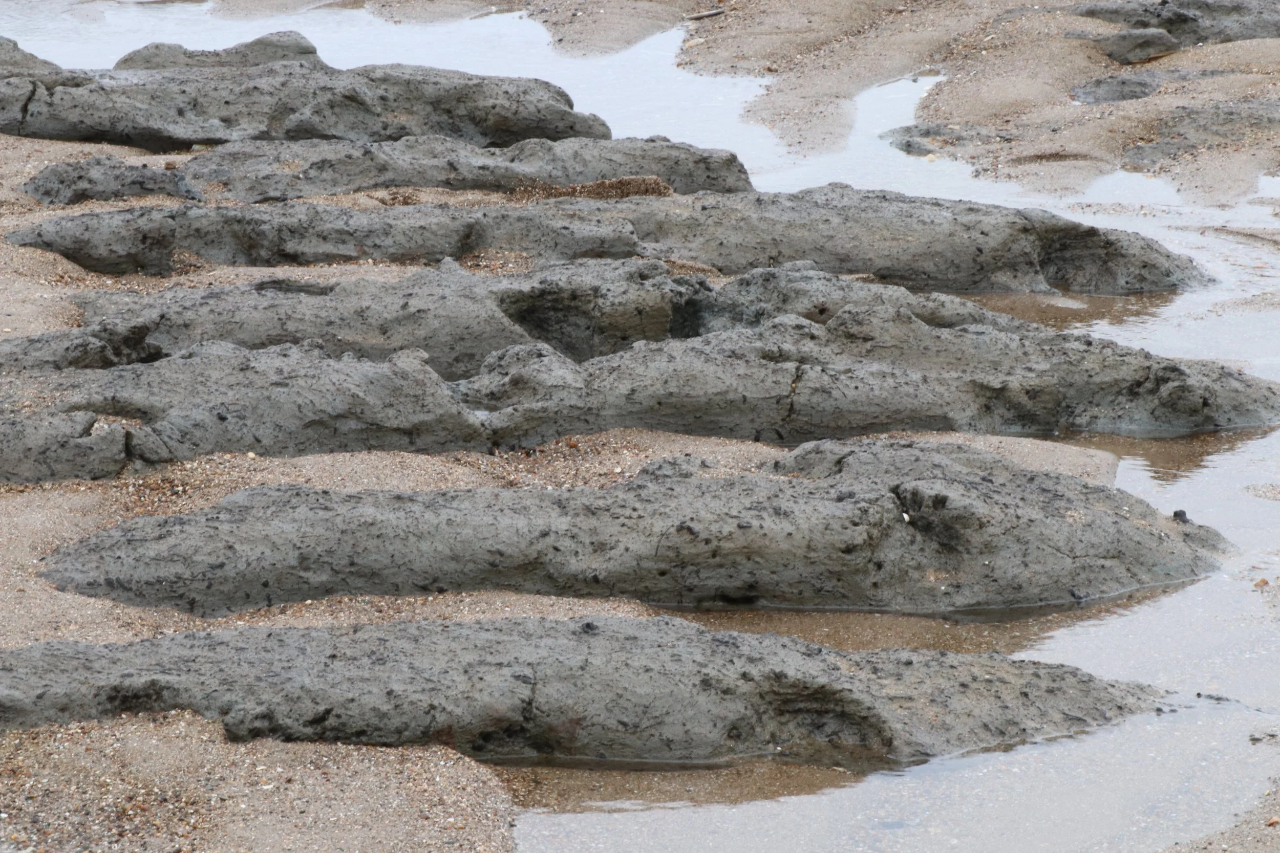  The contemplative video art 'doggerLANDscape' is based on Louvel’s search for the remnants of the submerged forest of Doggerland along the Lincolnshire coast. It documents her geological finds of the ancient tree’s remnants appearing at neap tide. A