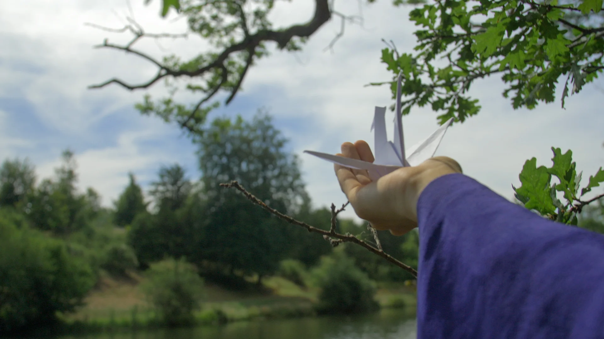 Mio Masumi Wilderness06.jpg