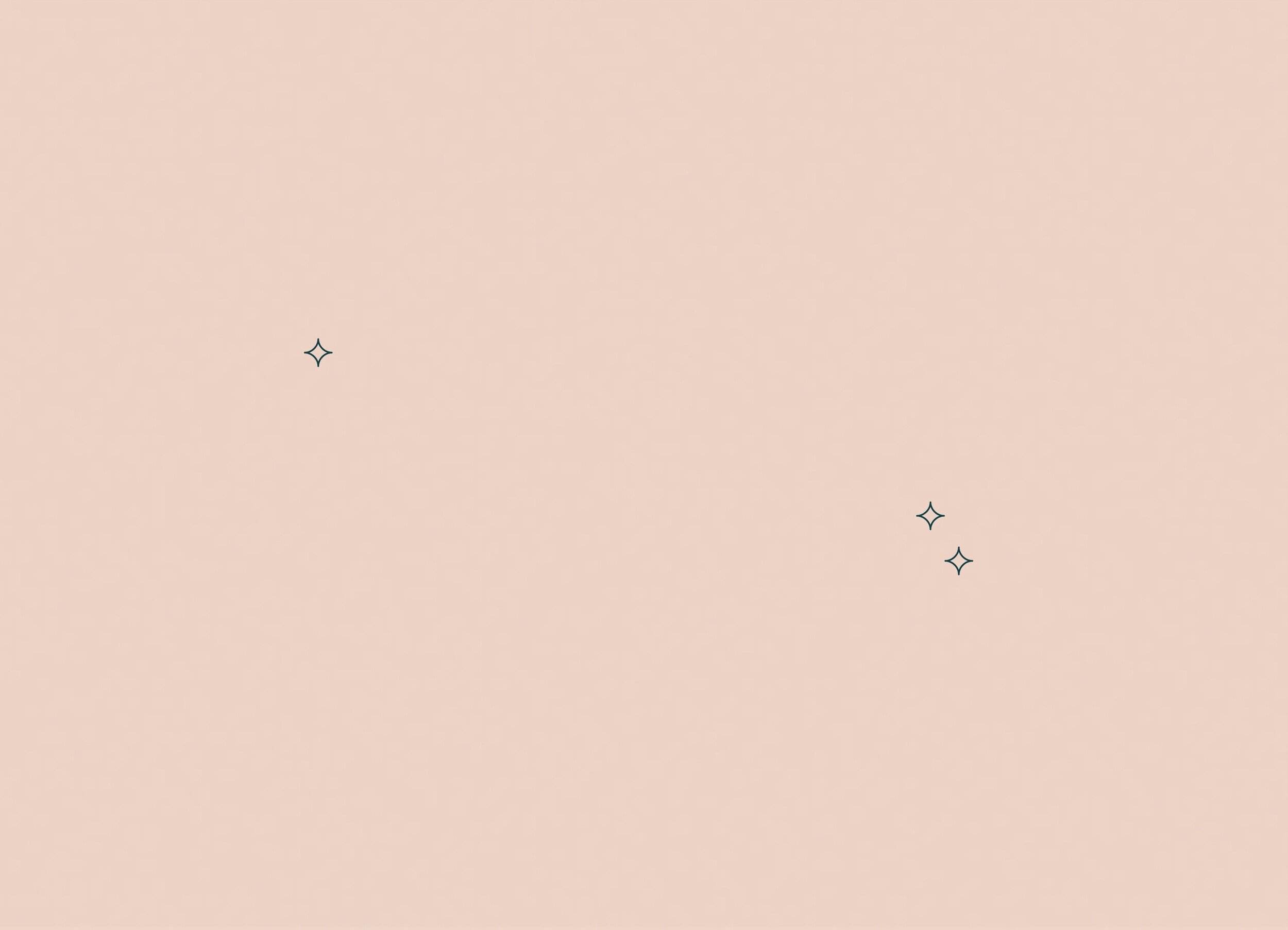 Brooke-Biro-Branding-Sparkle-Banner-1.jpg