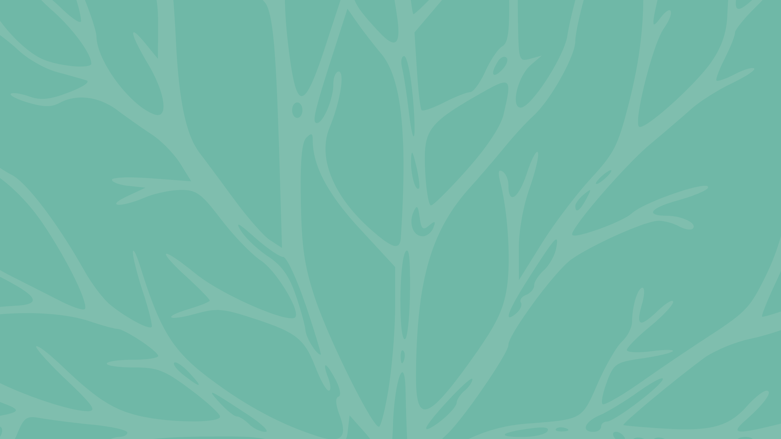 Nexia wedsite 2500 x 1500px banner.png