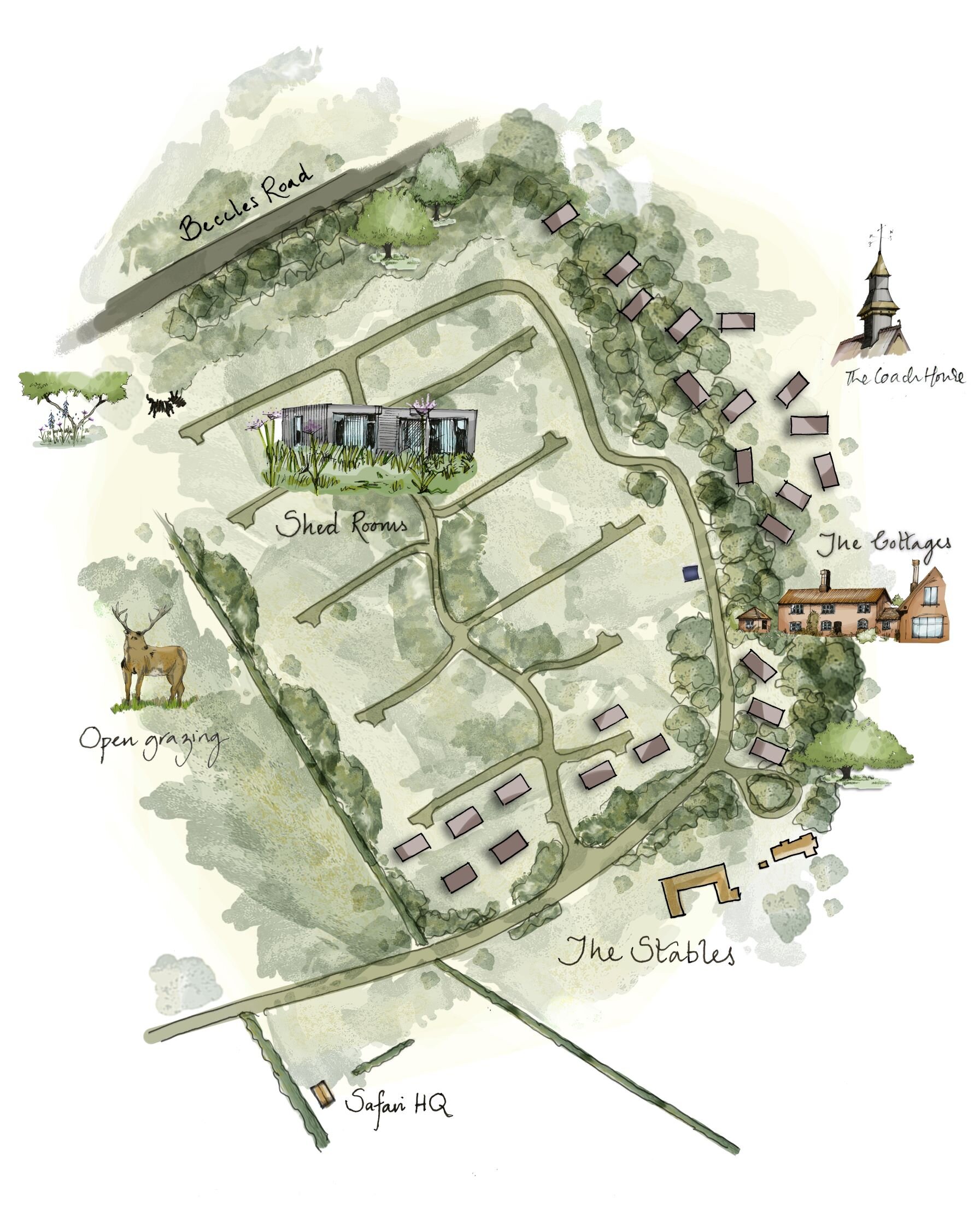 2020-04-02 Shed Rooms (Resize).jpg