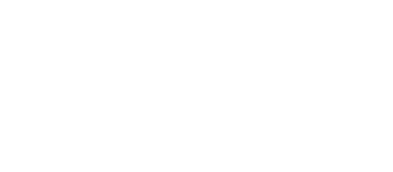 Small Wonder