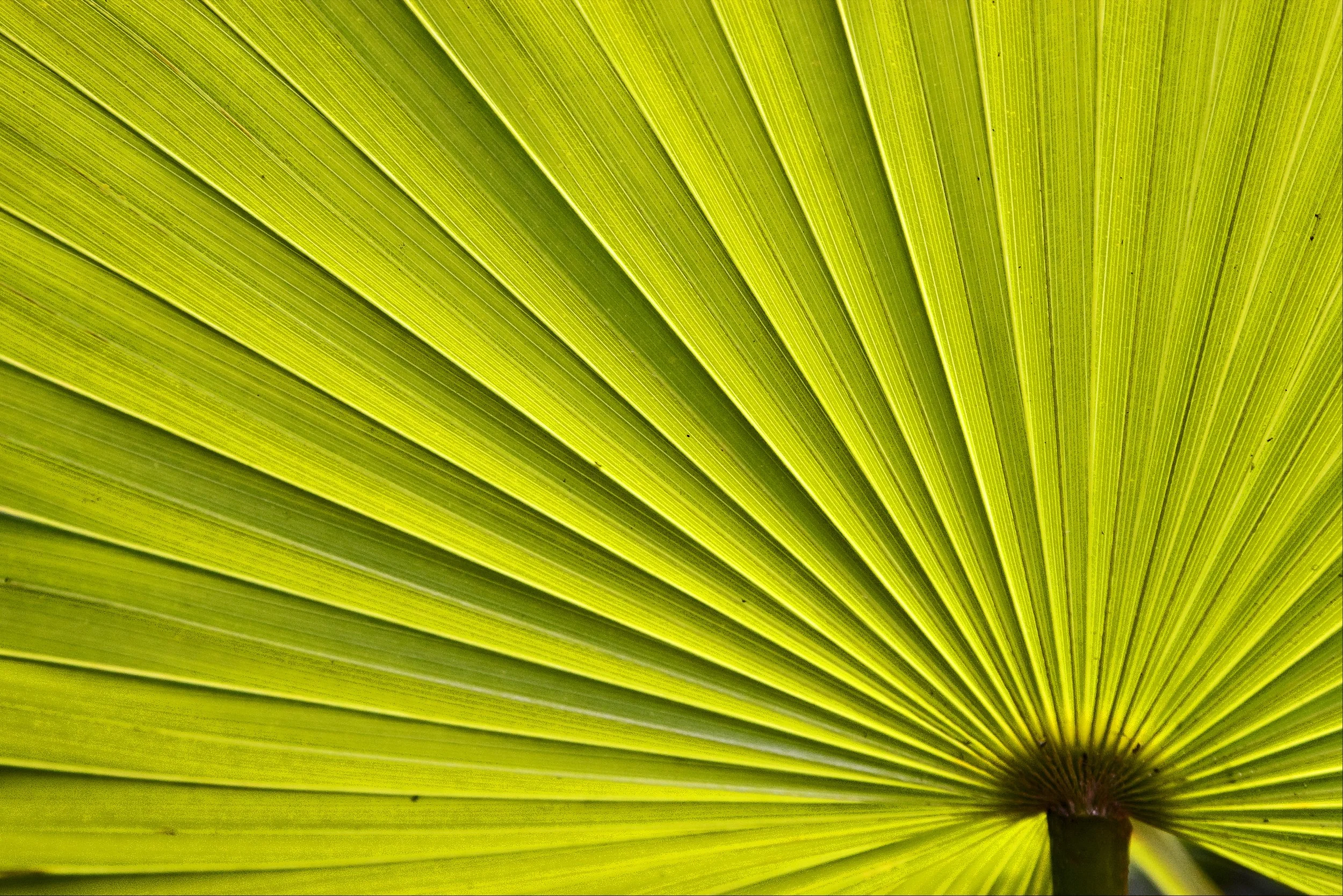 shutterstock_130391702.jpg
