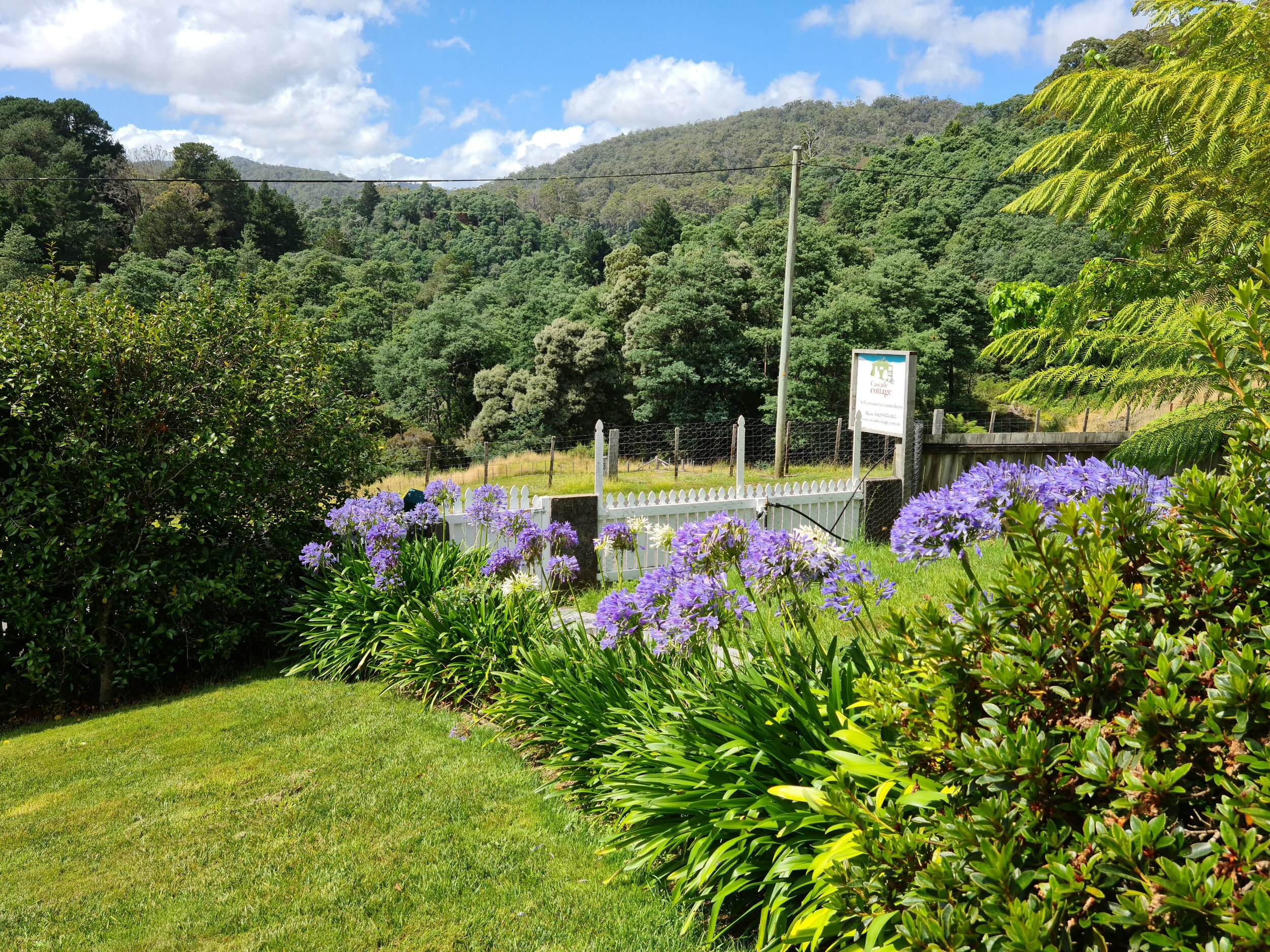 Cascade Cottage Overlooking Cascade Forest and Blue Derby Trails