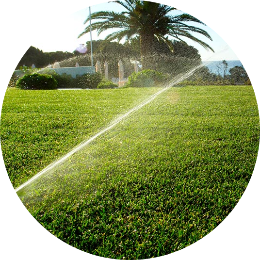 circle-cropped (3).png