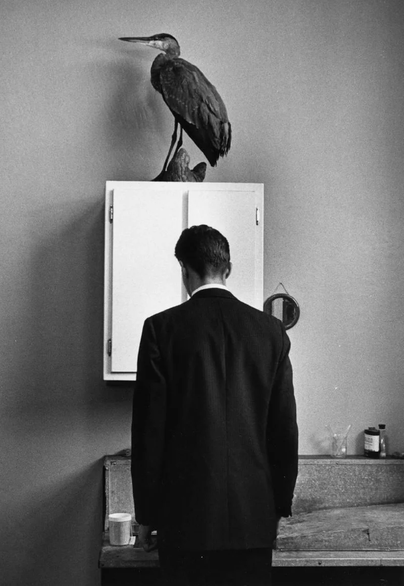 20121123_fo_andrekertesz.jpg