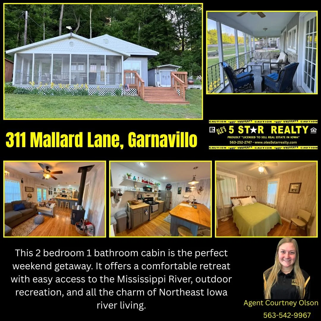 311 Mallard lane Garnavillo.jpg