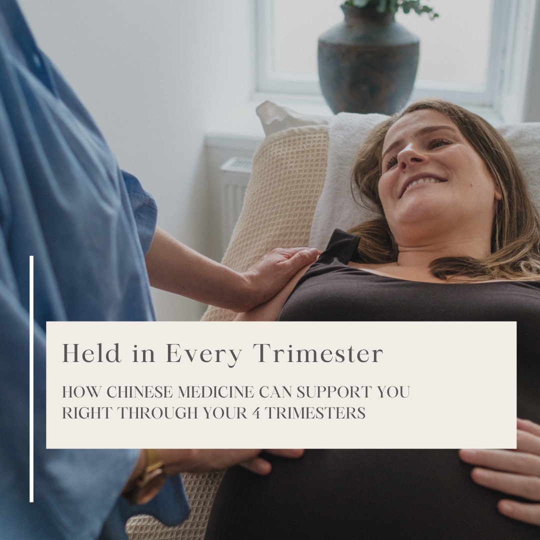 Held in Every Trimester - How TCM can support your pregnancy journey