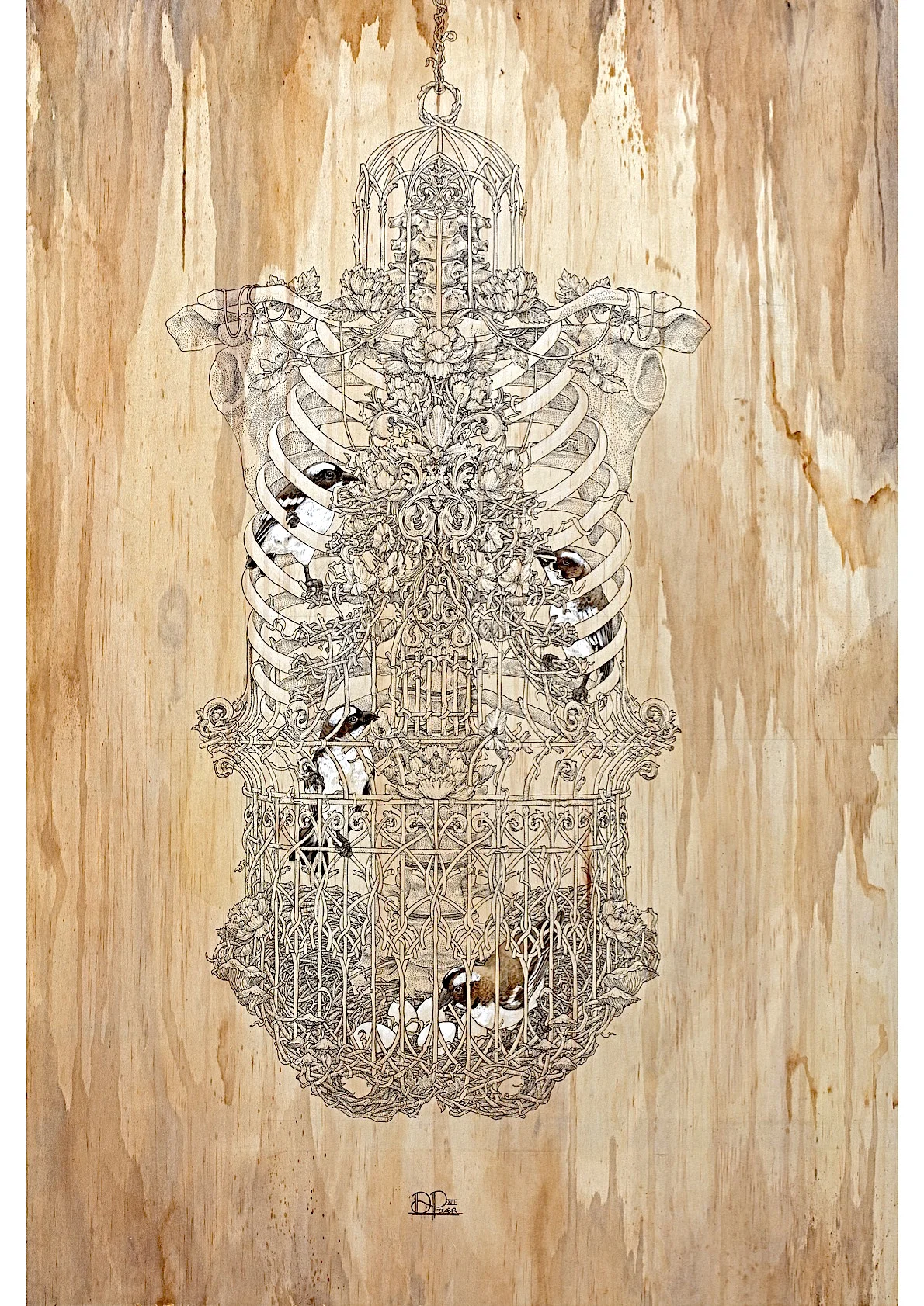 NEST CAGE - 2017
