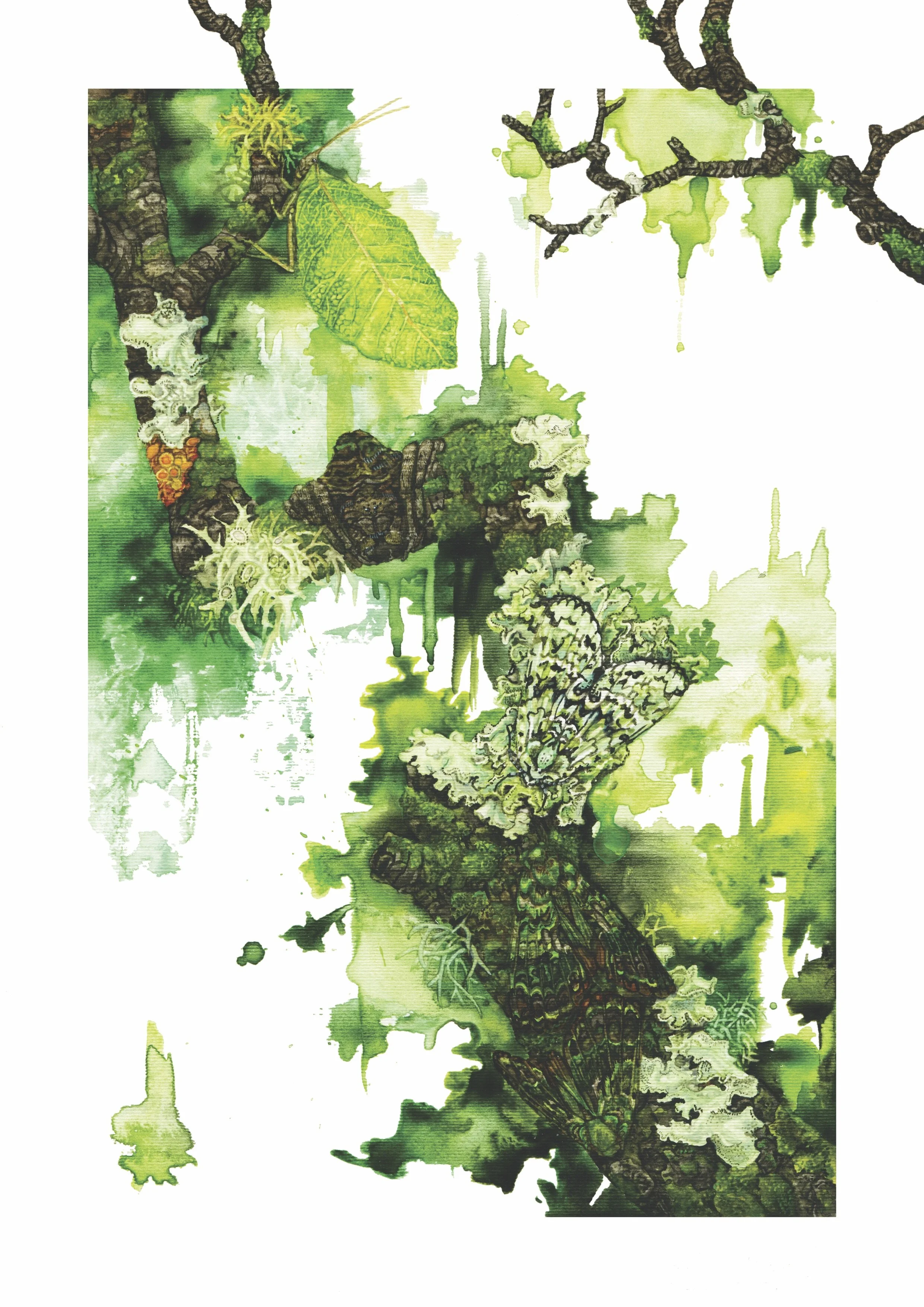 Moss Moth - 2017