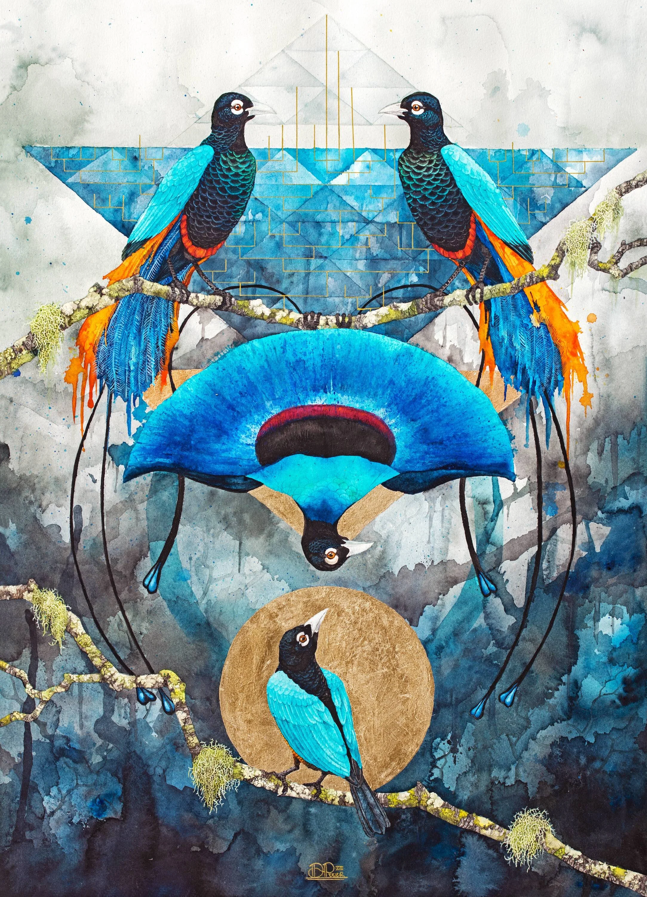 Blue Birds of Paradise - 2017