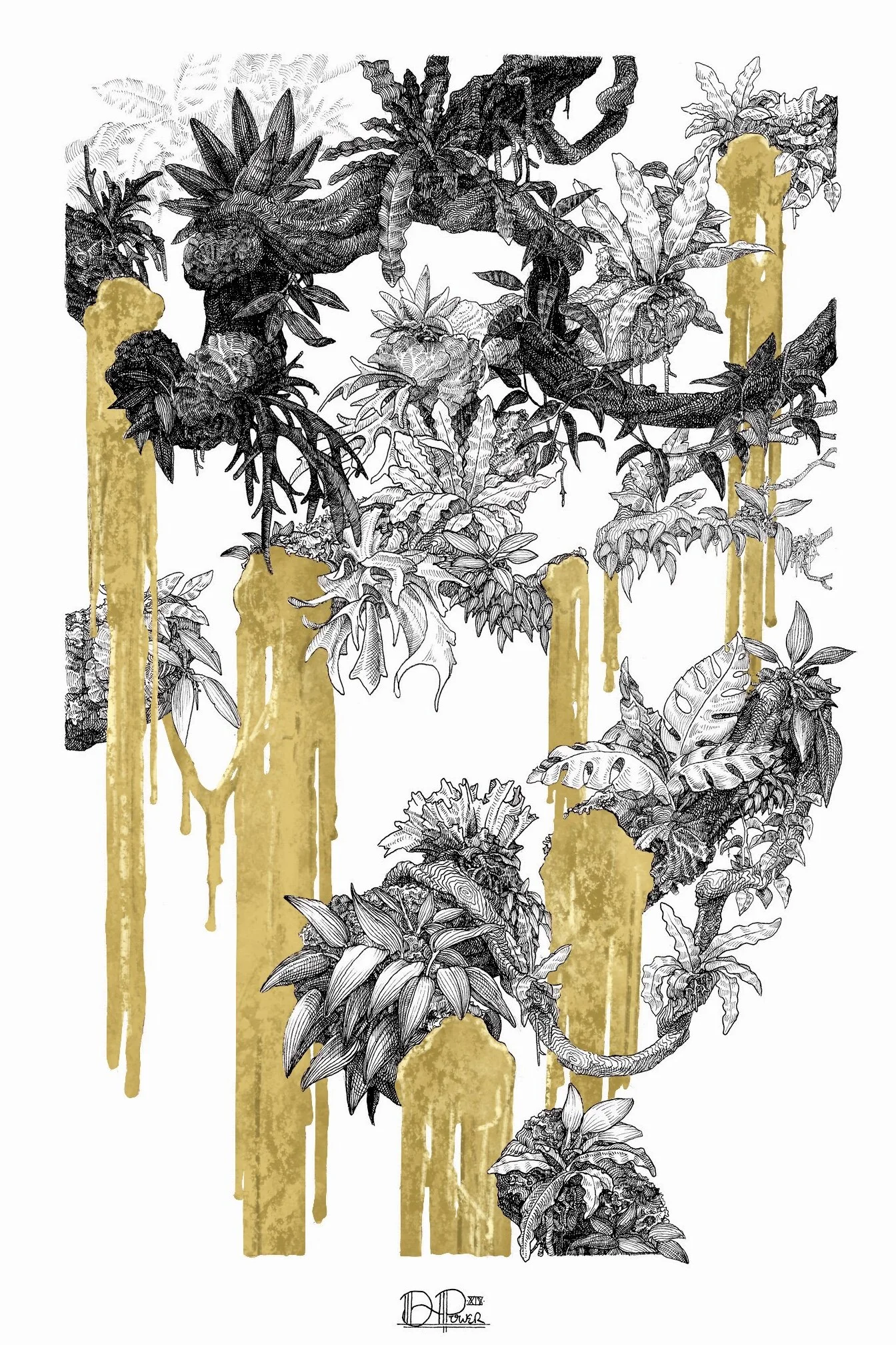 Epiphyte #2