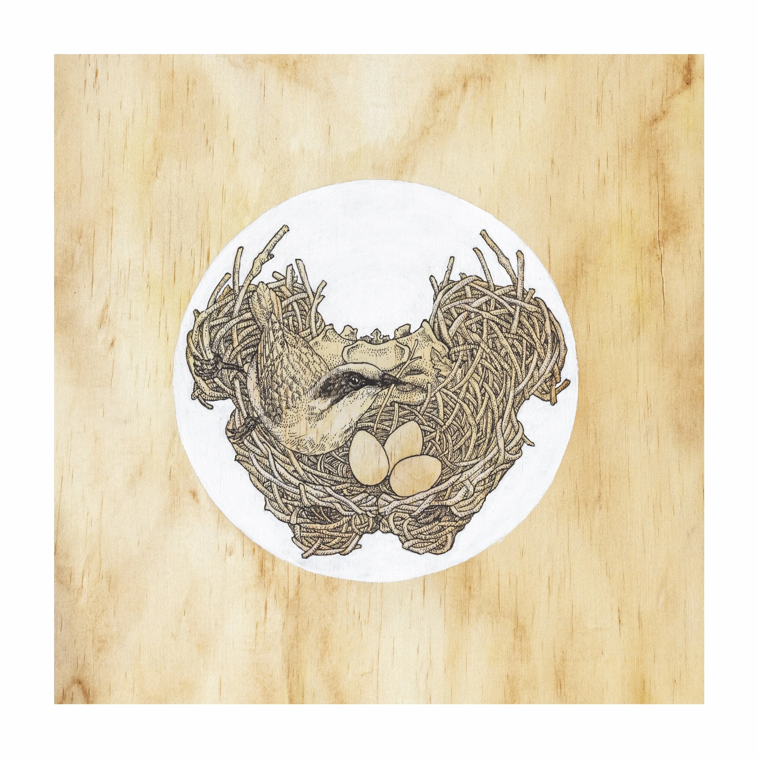 NEST PELVIS - 2017